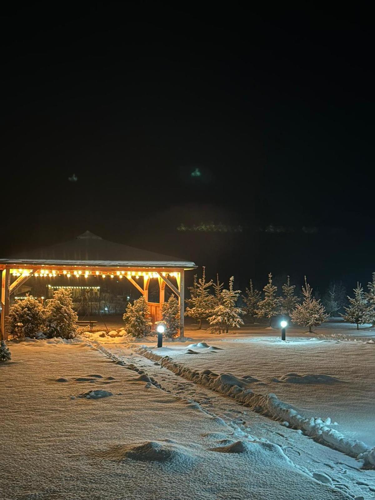 Domki Nad Sanem Bachorzec Dubiecko Exterior foto